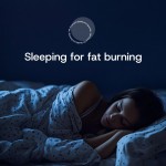 Nighttime Fat Burning Supplement Manufacturer - OEM Appetite Suppressant Capsules