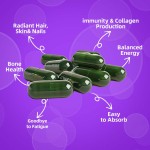 Women's Multivitamin Capsules Factory - Liquid B12 Zinc Iron