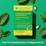Peppermint Oil Capsules Supplier - Bulk Green Tea Formula