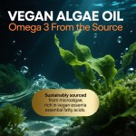 Omega 3 Algae Oil Capsules Factory - Heart Cognitive Eye
