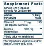 Creatine Monohydrate Capsules Manufacturer - Energy Metabolism