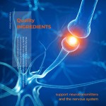 Glycine Capsules Supplier - Vegan Neurotransmitter Support