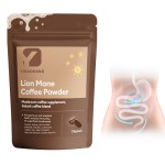 Mushroom Coffee Supplement Supplier - Lion Mane Intestinal Health