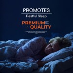 Glycine Capsules Supplier - Vegan Neurotransmitter Support