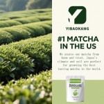 Matcha Green Tea Powder Supplier - Energy Attention Metabolic