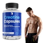 Creatine Capsules Manufacturer - Muscle Cognitive Immune