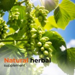 Green Coffee Bean Extract Manufacturer - Fat Burning Appetite