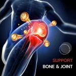 Omega 3 Softgels Supplier - Triple Strength Softgels