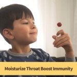 Vitamin C Pops Supplier - Fruit Flavored Lollipops