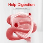 Sea Moss Gel Factory - Digestion Immune Support