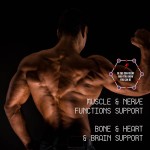 Organic Matcha Powder Supplier - Ceremonial Tea Powder