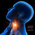 Shilajit Capsules Factory - Energy Fatigue Capsules