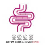 Sea Moss Gel Factory - Digestion Immune Support