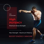 Probiotic Supplements Supplier - Intestinal Health Capsules