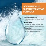 Oil of Oregano Capsules Factory - Digestion Immune Capsules