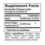 Organic Lollipops Supplier - Allergy Friendly Vegan