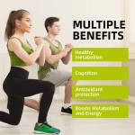 Probiotics for Dogs Manufacturer - Digestive Enzymes Chews