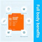 Green Tea Extract Manufacturer - Cognitive Health Extract