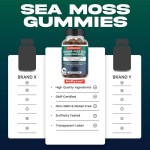 Muscle Growth Gummies Supplier - Creatine Monohydrate Gummies