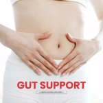 Sea Moss Gel Factory - Digestion Immune Support