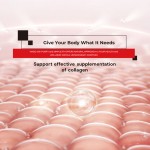 Herbal Lung Tea Supplier - Respiratory Wellness Tea