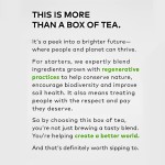 Lemon Detox Tea Manufacturer - Colon Cleanse Tea