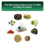 Organic Detox Tea Supplier - 28 Days Green Tea Slimming