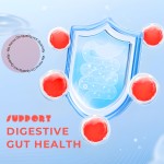 Melatonin Gummies Supplier - Night Time Fat Burner