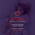 Daily Probiotic Gummies Factory - Immune Digestive Gummies