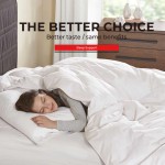 Spirulina Powder Capsules Factory - Natural Detox Capsules