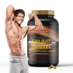 Probiotic Supplements Supplier - Intestinal Health Capsules