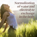 Liver Detox Tablets Manufacturer - Isoflavone Whitening