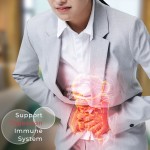 Sea Moss Gel Factory - Digestion Immune Support