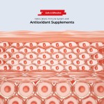 Astaxanthin Softgels Factory - 12mg Antioxidant Softgels