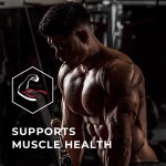 Men's Multivitamin Tablets Manufacturer - Immune Support Multivitamin