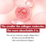 Collagen Liquid Jelly Factory - Drinkable Snack Jelly