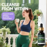 Chlorophyll Drops Factory - Mint Flavor Herbal