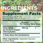 Chlorophyll Drops Factory - Mint Flavor Herbal
