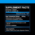 Tongkat Ali Capsules Manufacturer - 1% Eurycomanone Extract 1000mg Complex