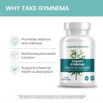 Gymnema Capsules Manufacturer - 100% Natural 600mg Leaf Extract Glucose Support