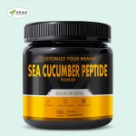 Sea Cucumber Peptide Supplier - Focus Herb Logo 500mg Peptide Powder Supplement