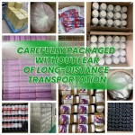 Male Fertility Capsules Factory - Herbs Booster Men Fertility Tablet Products