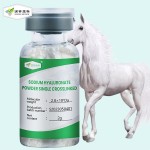 Chondroitin Sulfate Supplier - High Purity Solution Horse Pet Supplements Powder