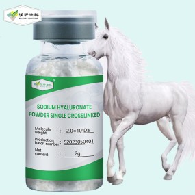 Chondroitin Sulfate Supplier - High Purity Solution Horse Pet Supplements Powder
