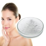 Hyaluronic Acid Powder Manufacturer - Cosmetics Grade Hydrolyzed Sodium Hyaluronate