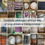 Omega 3 Capsules Manufacturer - OEM Organic Health Supplement Fish Oil