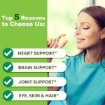 Omega 3 Softgels Factory - OEM ODM Premium DHA EPA Brain Health Fish Oil