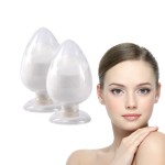 Hyaluronic Acid Powder Manufacturer - Cosmetics Grade Hydrolyzed Sodium Hyaluronate
