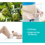Fat Metaboliser Tablet Supplier - 100% Natural Pure Pills Weight Management