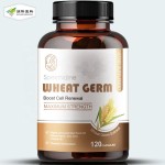 Spermidine Capsules Supplier - 500mg Wheat Germ Extract with Zinc 120 Capsules
